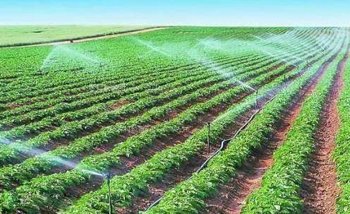 好湿好紧好爽狂日动态图农田高 效节水灌溉